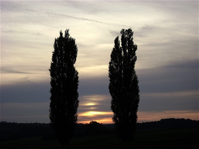 DSC00846.jpg